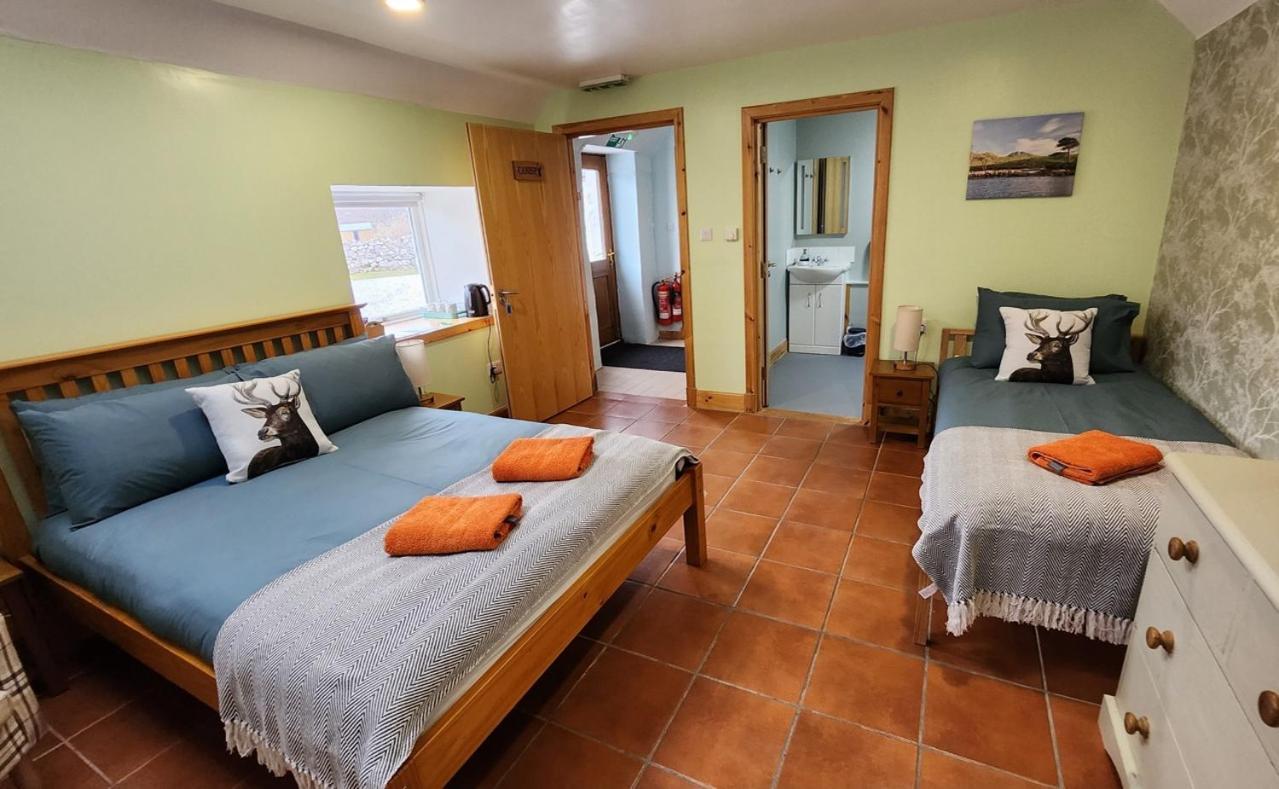Explorers Auberge de jeunesse